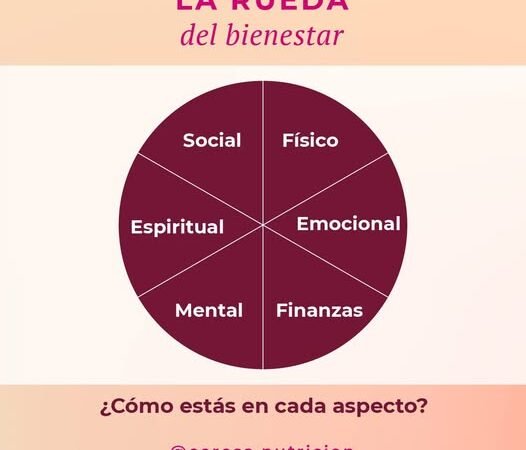 ¿Qué es la rueda del bienestar y cómo usarla?