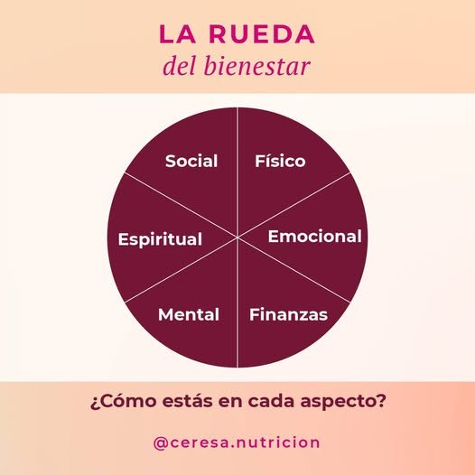 ¿Qué es la rueda del bienestar y cómo usarla?
